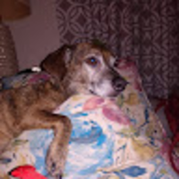 Meet your Posher, Linda - Picture 1 of 1